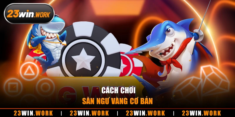 Cách chơi săn ngư vàng cơ bản