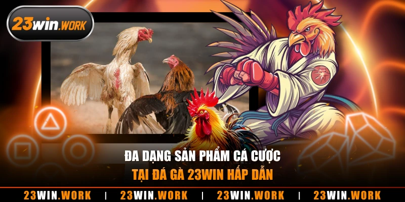 Đa dạng sản phẩm cá cược tại đá gà 23WIN hấp dẫn