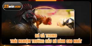 Đá Gà Thomo