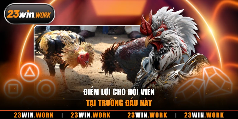 Điểm lợi cho hội viên tại trường đấu này