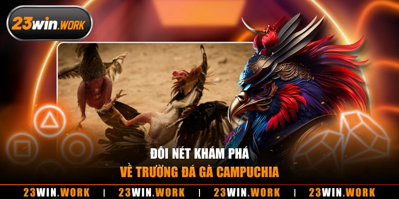 Đôi nét khám phá về trường đá gà campuchia
