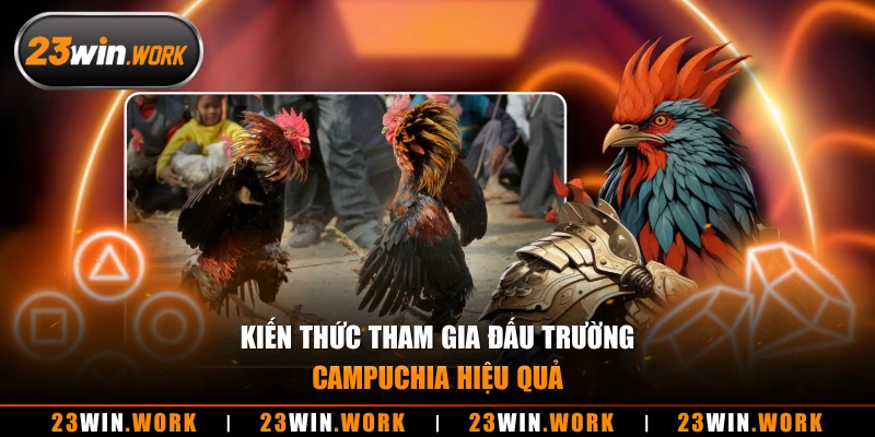 Kiến thức tham gia đấu trường campuchia hiệu quả 