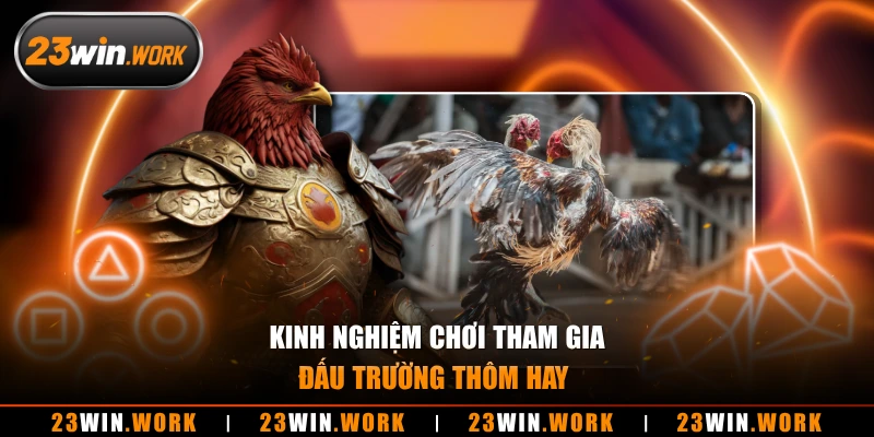 Kinh nghiệm chơi tham gia đấu trường thôm hay 