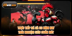 Trực Tiếp Đá Gà C3 Hôm Nay