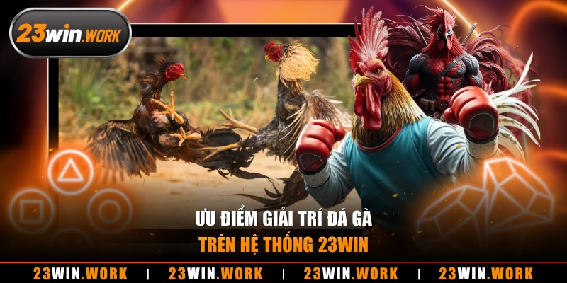 Ưu điểm giải trí đá gà trên hệ thống 23WIN