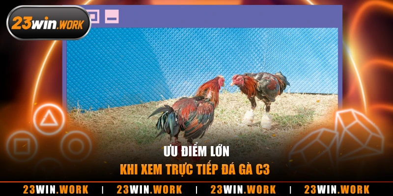 Ưu điểm lớn khi xem trực tiếp đá gà c3 