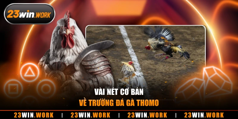 Vài nét cơ bản về trường đá gà thomo